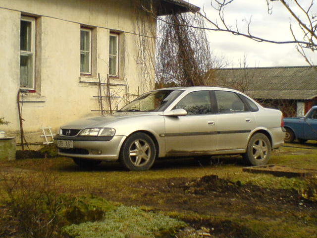 Pilt