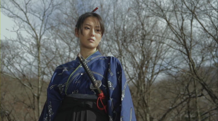 Female Ninjas: Magic Chronicles 9 (2011) DVDRip XviD AC3-theonlyh Female Ninjas: Magic Chronicles 9 (2011) DVDRip XviD AC3-theonlyh