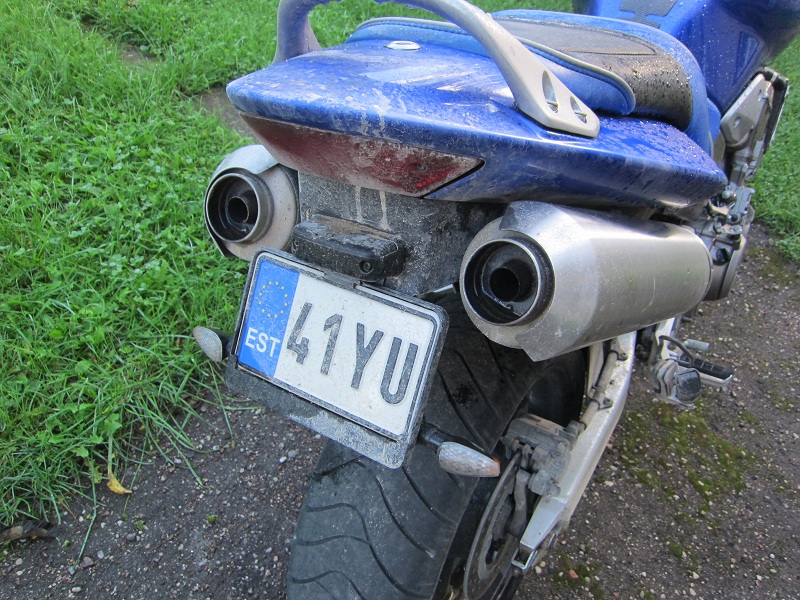 Pilt