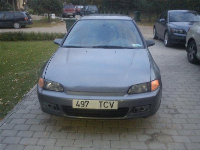 Pilt