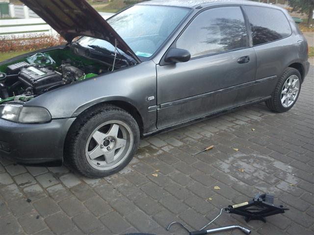 Pilt