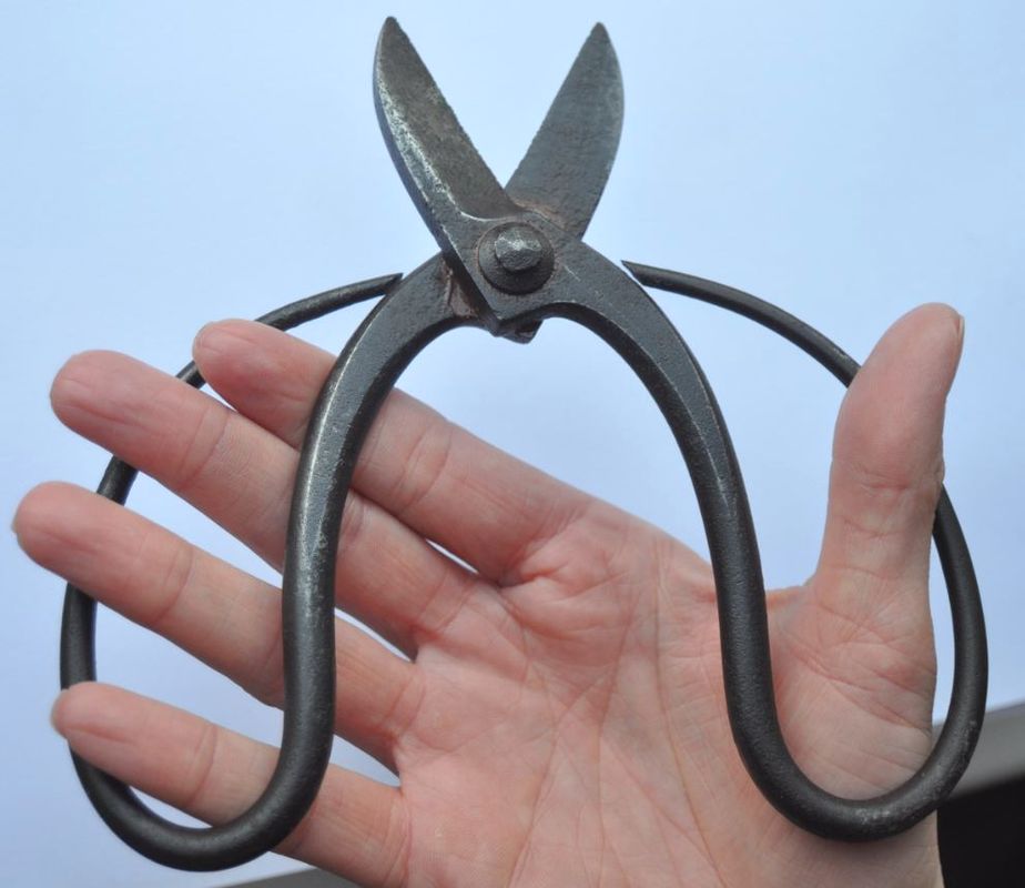 1900s Japan Antique Rare Type MASAKUNI Japanese Bonsai Trimming Scissors Tool eBay