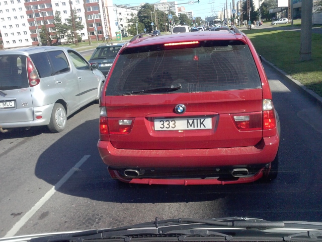 Pilt