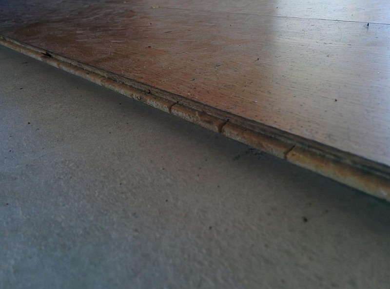 Pilt