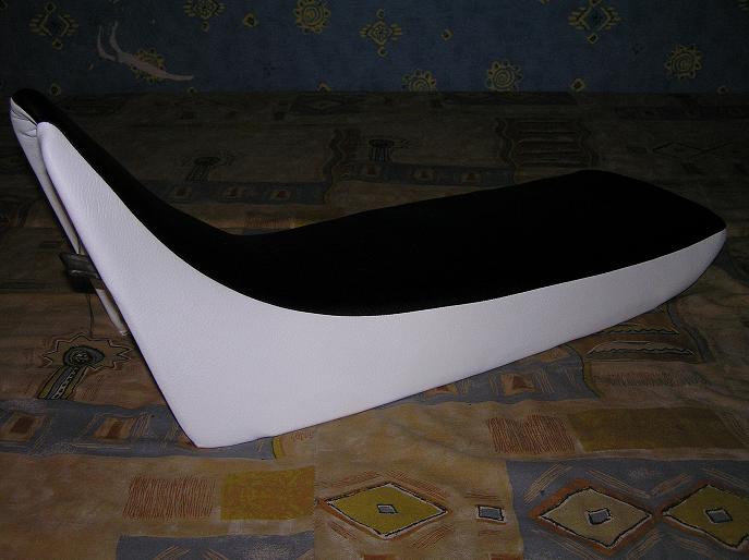 Pilt