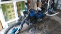 650 street tracker DSC_0536_1_