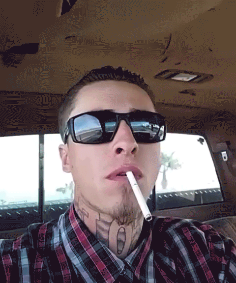 video0.gif