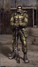 12.png