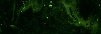_.png