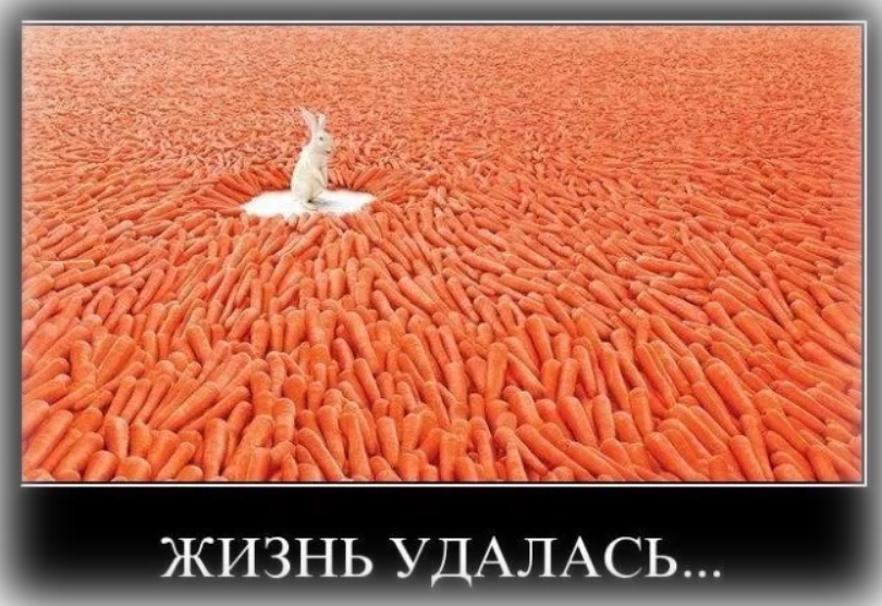 21_zhizn.png