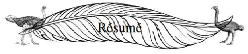 r_sum_2.png