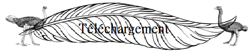t_l_ch2.png