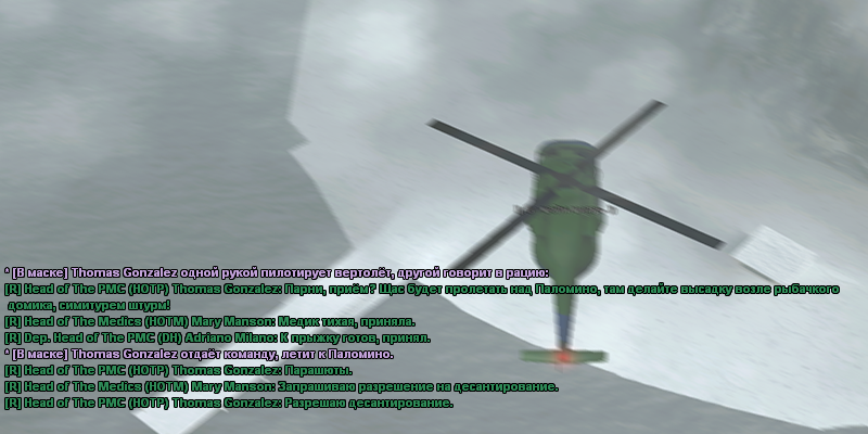 SS1.png