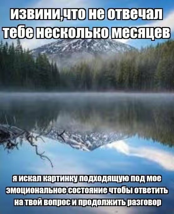 vGTlrj88-VA.jpg