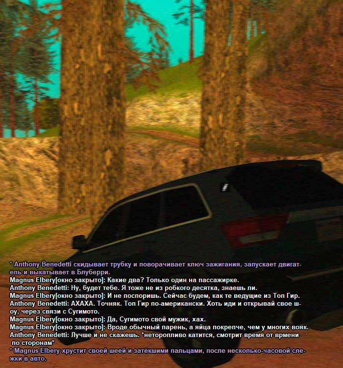 ss2.png