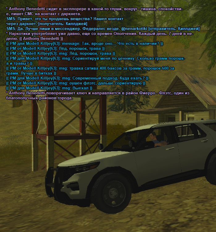 ss1.png