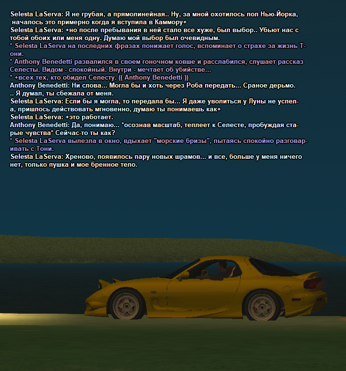 ss7.png