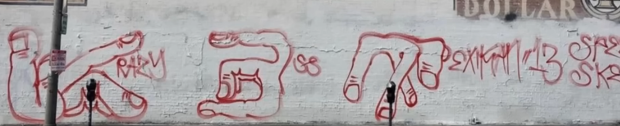 kam.png