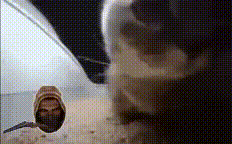 video.gif