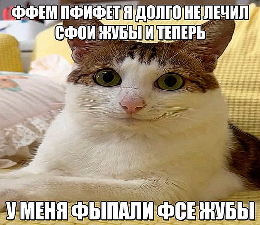 zNGOtuJ3vhU.jpg