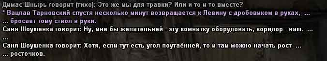 _____4.jpg