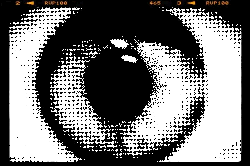 10.gif