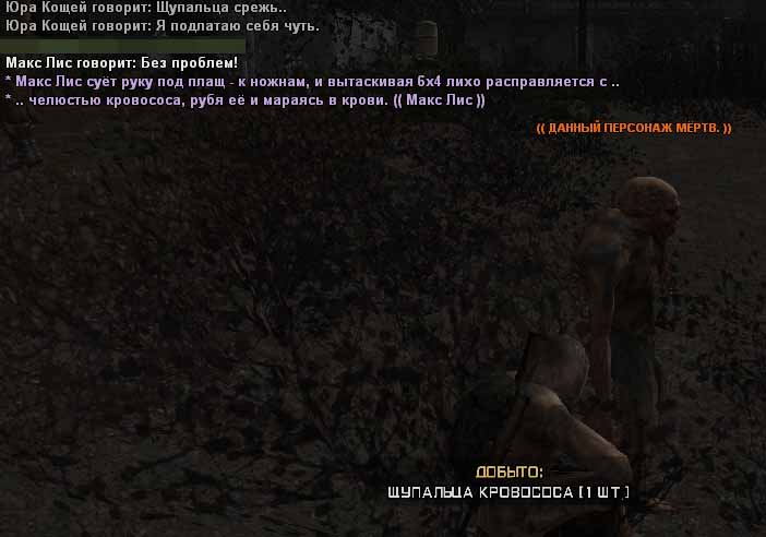 41.jpg