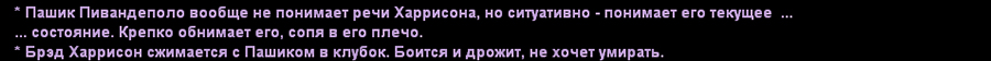 zz19.jpg