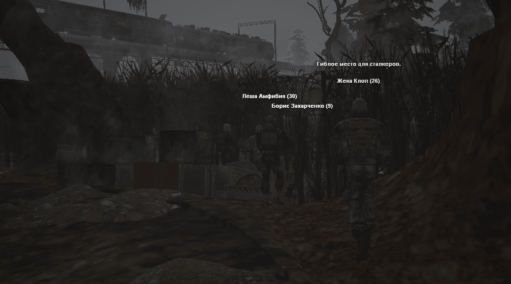 ____________2024-11-30_013800146.png