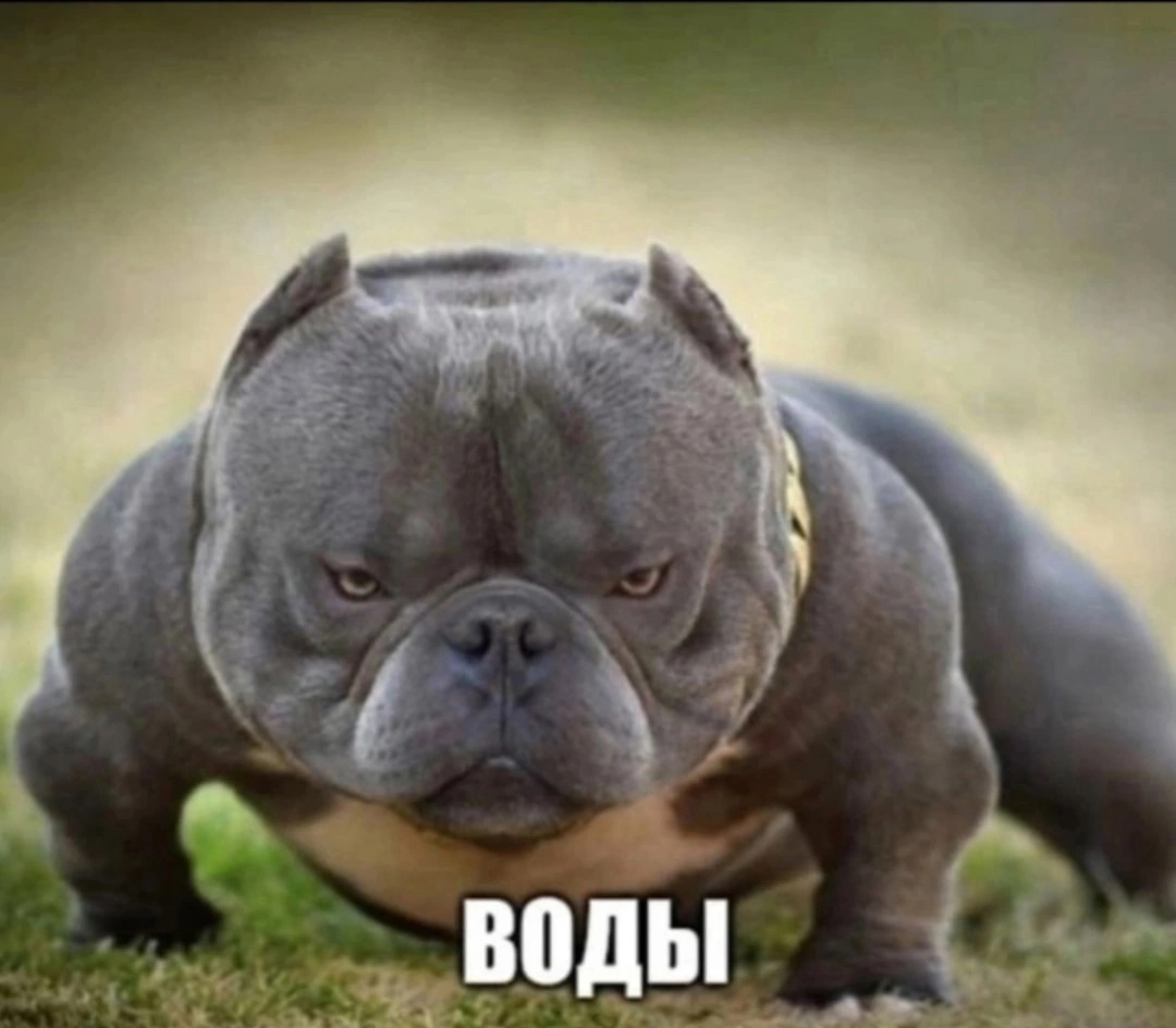 IMG_4068.png