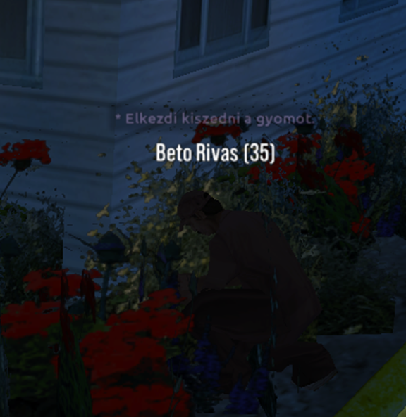 vxcv.png