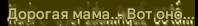 translated_image_ru.png