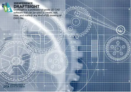 Ddsight2025.png