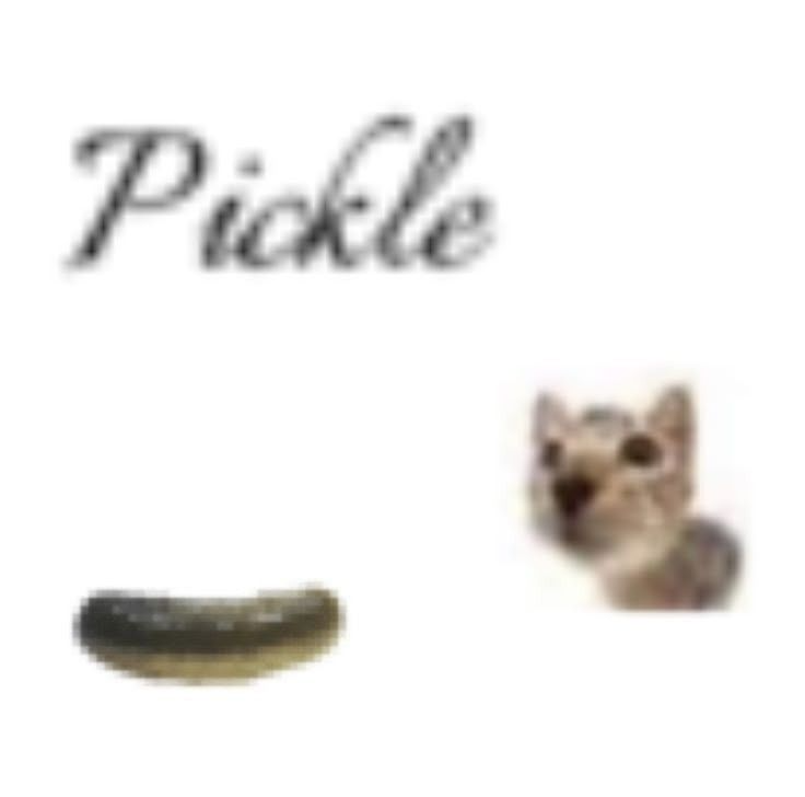 0e08dbbfbf9d7da4e68f6cafb9de3161.png