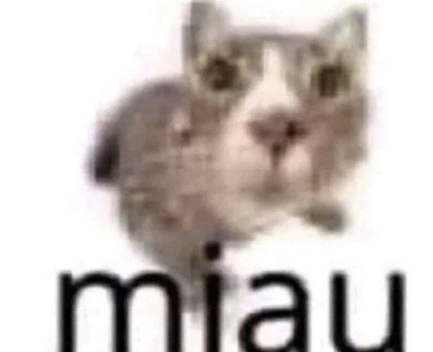 65e7164412da0b8ea7bab590ef2549a6.png