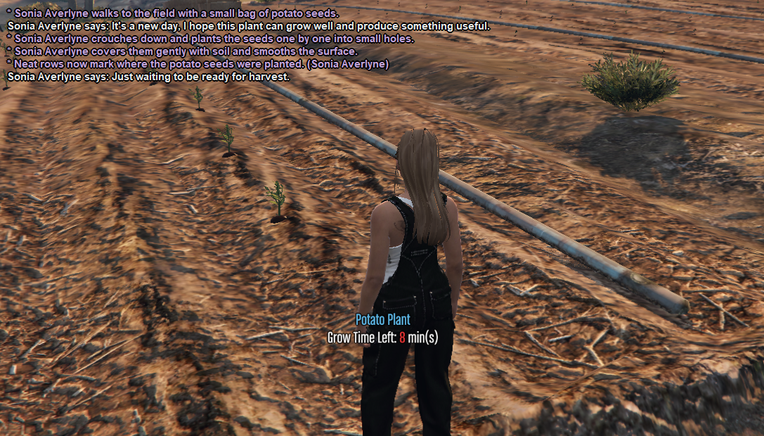 ssrp1.png