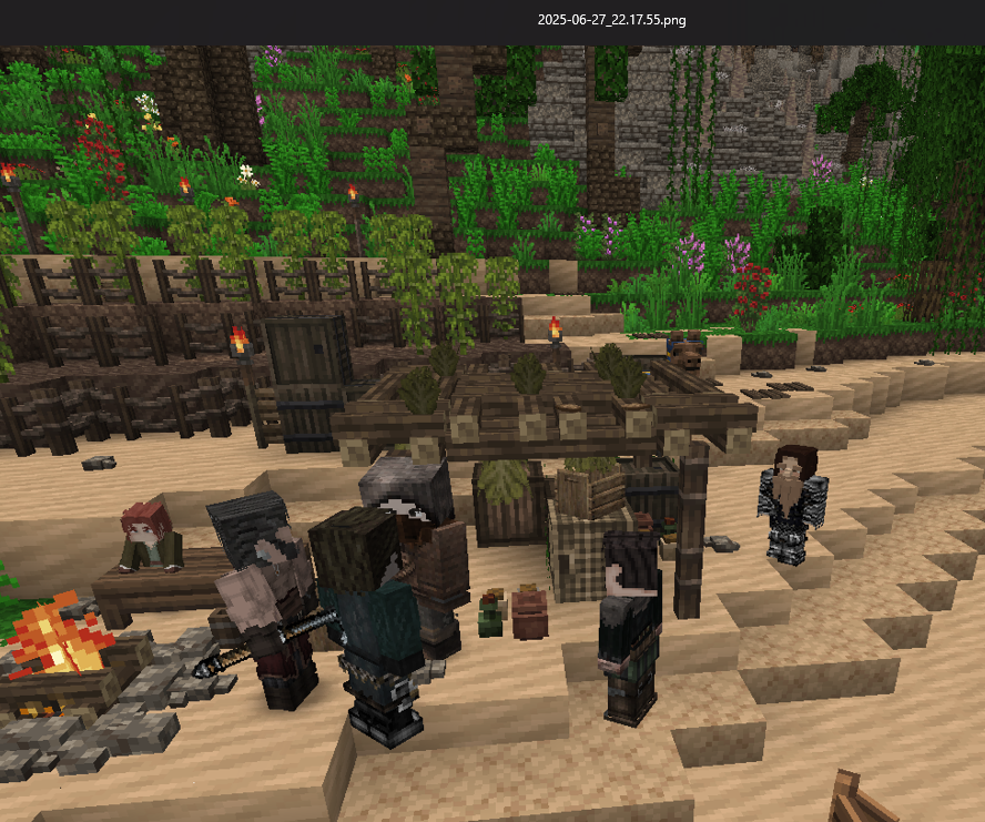 ______________2025-06-29_032025.png