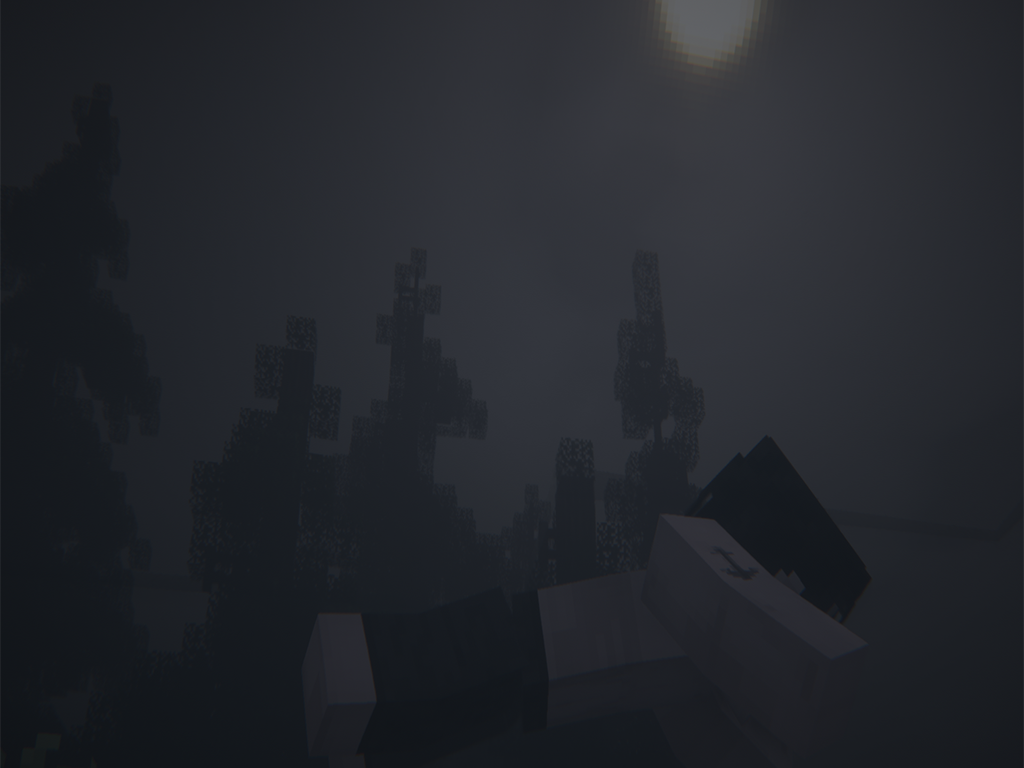 11.png
