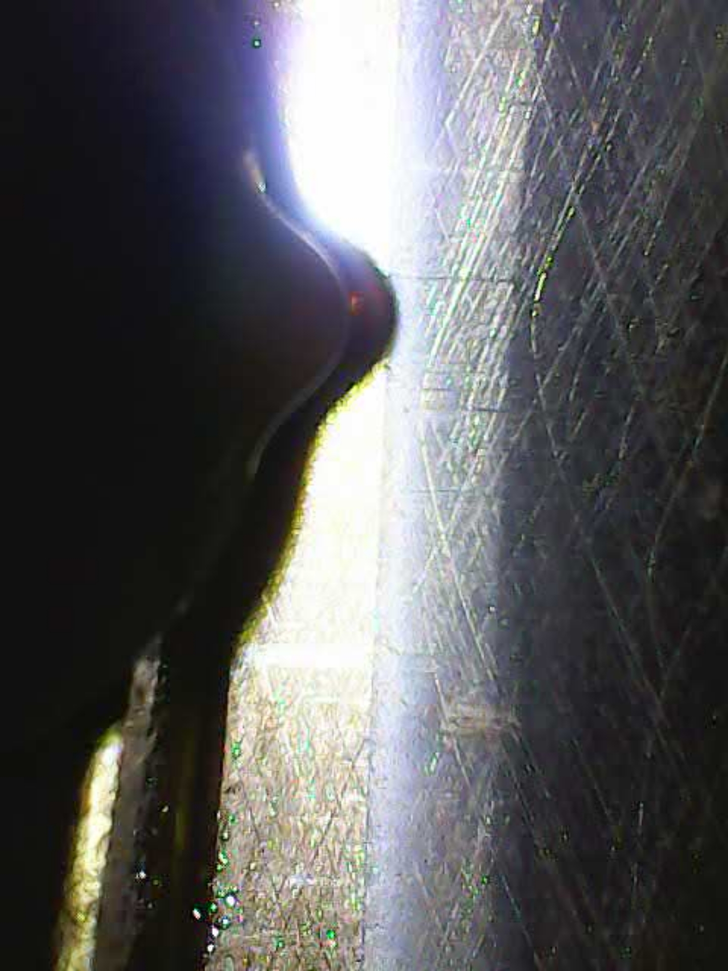 Pilt