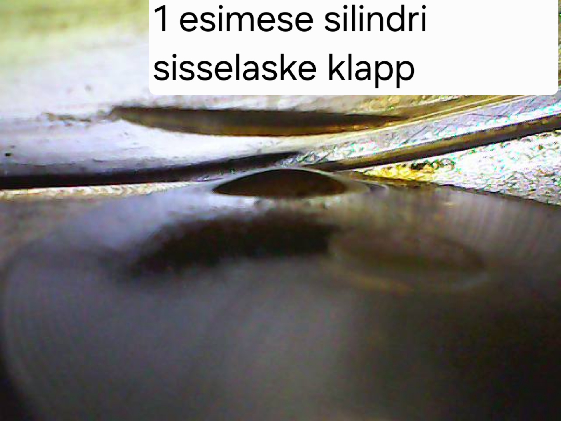 Pilt