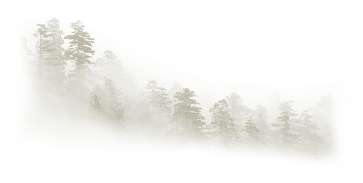 tgbvtntghn.png