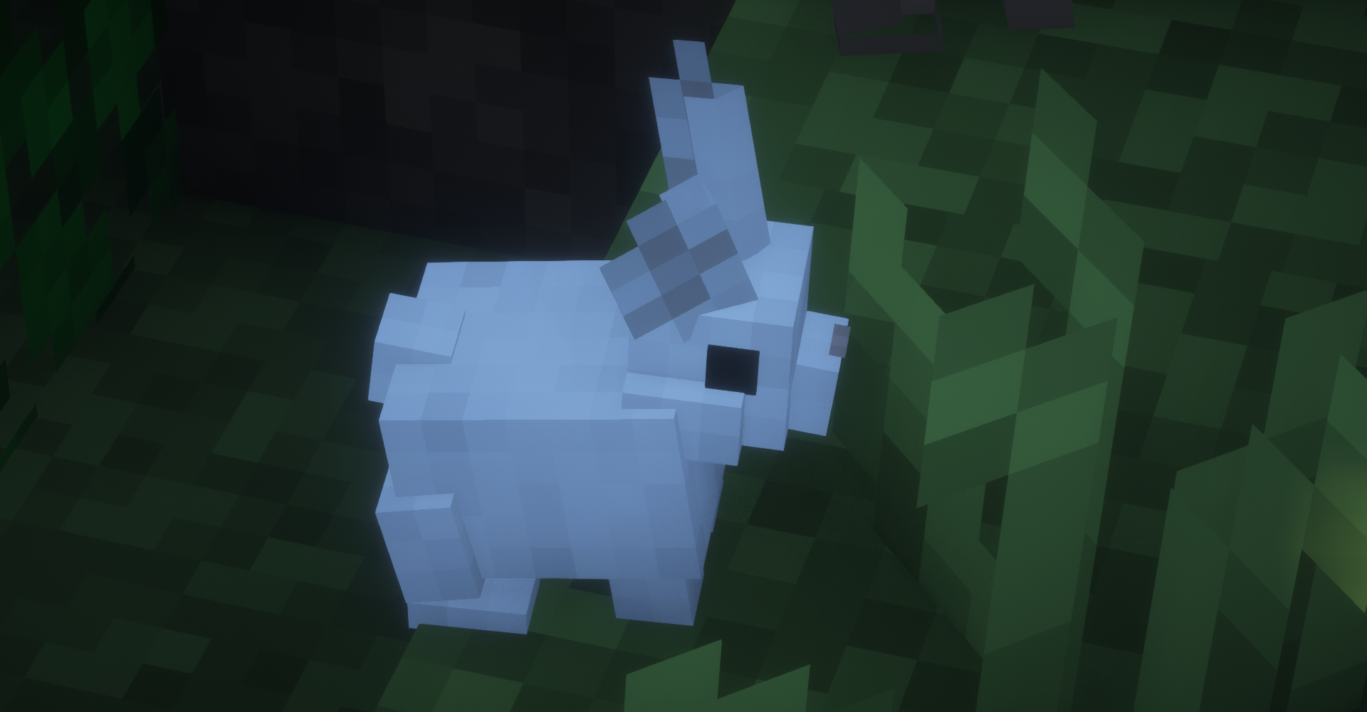 ____________2025-08-03_022008953.png