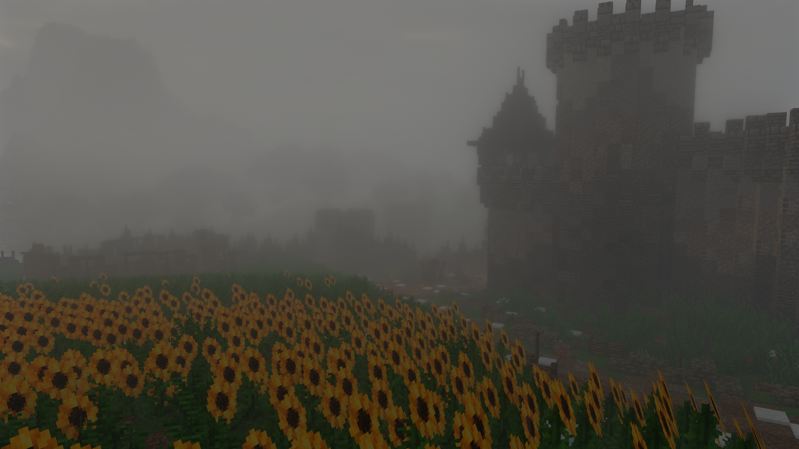 ____________2025-08-12_191007801.png