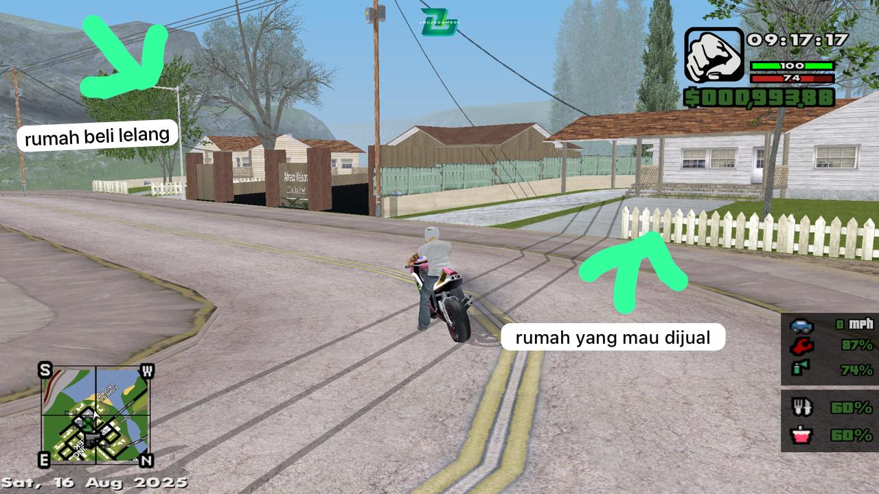 image.jpg