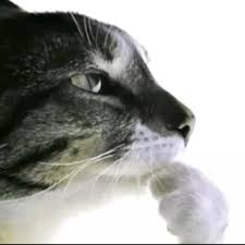 images__6_.jpg