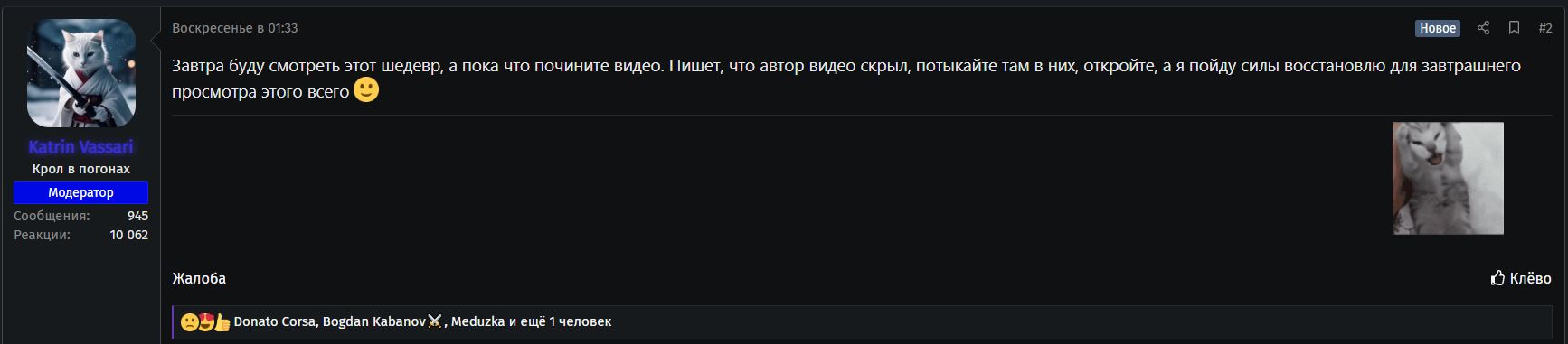____________2025-09-25_175843291.png
