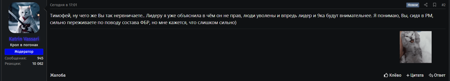 ____________2025-09-25_181652309.png
