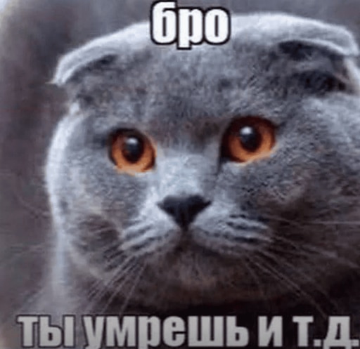 FF4064FAD32470555A4A83AEF64844FF352C6846_1_