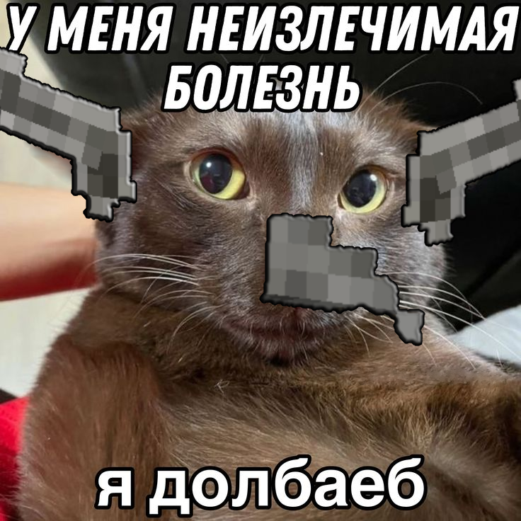 dolba.png