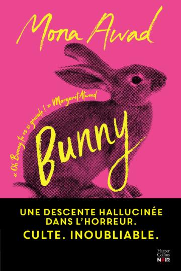 bunny.jpg